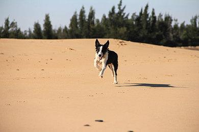 《幻塔》海外版出现搞笑Bug 游戏角色变纸片人